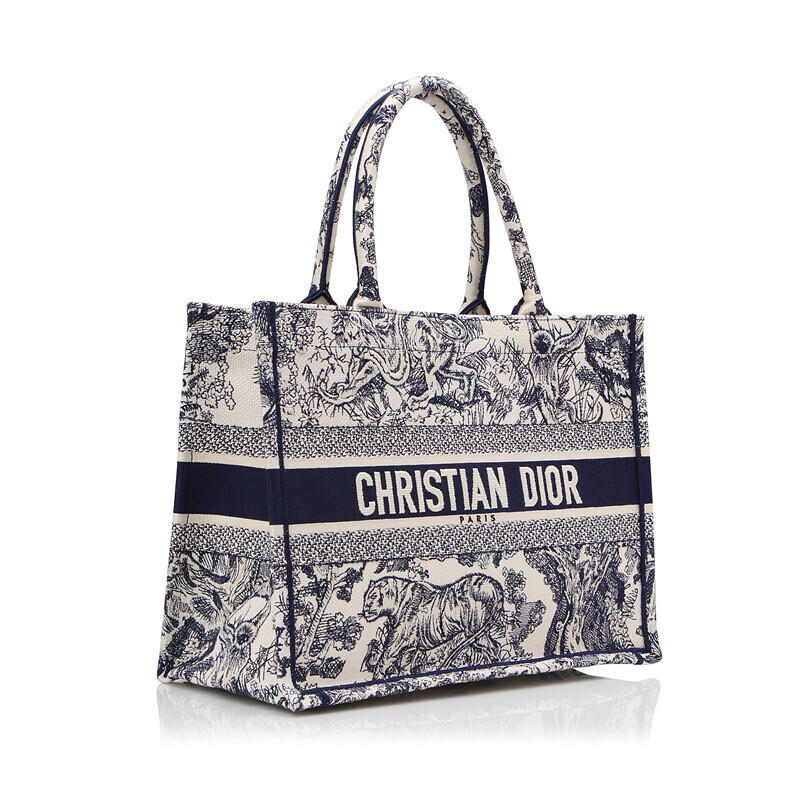 Christian Dior Book Tote Bag ZRON 886 Multicolor M1286
